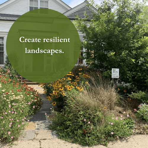 Create resilient landscapes